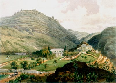 The Briars, Svatá Helena, počátek 19. století 1851 od Unbekannt