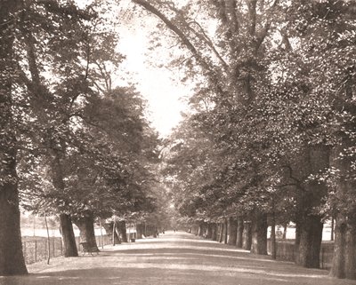 The Broad Walk, Oxford, 1894. od Unbekannt