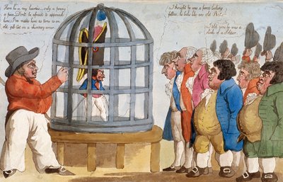 „Korsický Bajazet v Londýně“, 1803 od Unbekannt