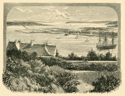 The Cove of Cork, 1898. od Unbekannt
