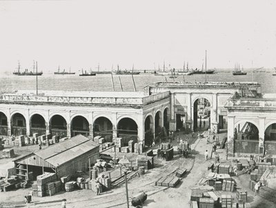 Celnice, Veracruz, Mexiko, 1895. od Unbekannt