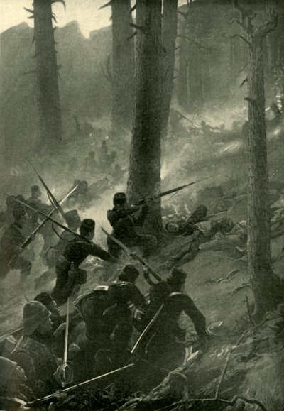 Odvážný útok na Spingawi Khotal, 2. prosince 1878, 1901. od Unbekannt