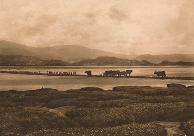 Dovey v Ynyslas, 1902 od Unbekannt