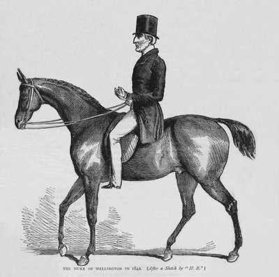 Vévoda z Wellingtonu, c1842 1878 od Unbekannt