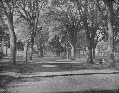 The Elms, New Haven, Connecticut, c1897. od Unbekannt