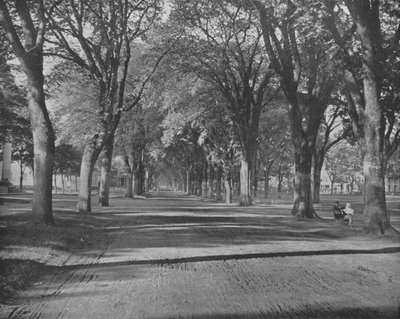 The Elms, New Haven, Connecticut, USA, c1900. od Unbekannt