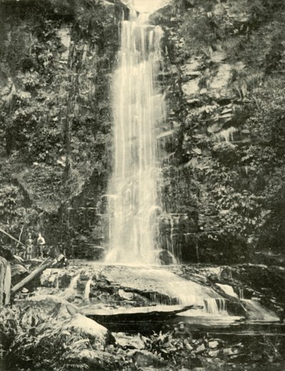 Erskine Falls, poblíž Lorne, 1901. od Unbekannt