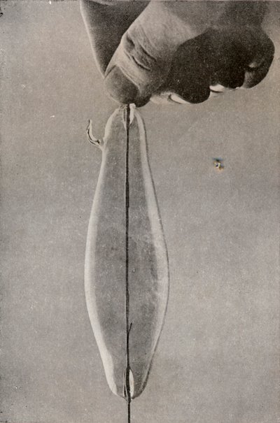 První žárovková elektrická lampa, c1916 od Unbekannt