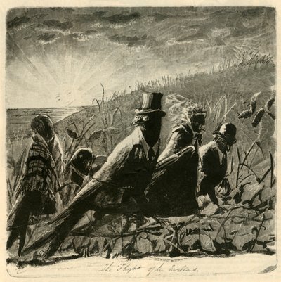 Let vlaštovek, 1882. od Unbekannt