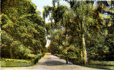 Květinová procházka, Kensington Gardens, Londýn, 20. století od Unbekannt