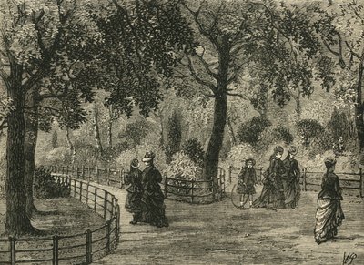 Květinové procházky, Kensington Gardens, c1876. od Unbekannt