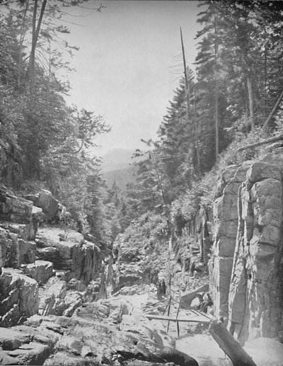 The Flume, Franky White Mountains, N. H., c1897. od Unbekannt