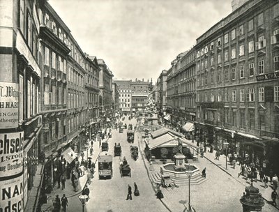 The Graben, Vídeň, Rakousko, 1895. od Unbekannt