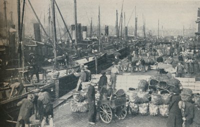 Sleďová sezóna v plném proudu, 1937 od Unbekannt