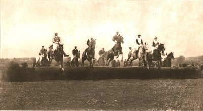 Hunt Cup, Punchestown, 1911. od Unbekannt