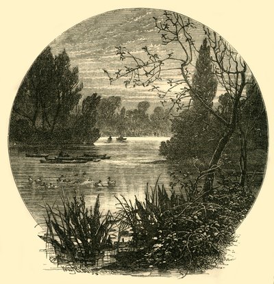 Jezero, Battersea Park, c1878. od Unbekannt