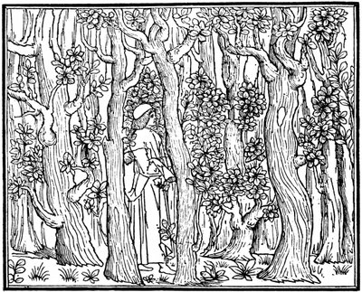The Lover in the Wood, 1499 1964 od Unbekannt