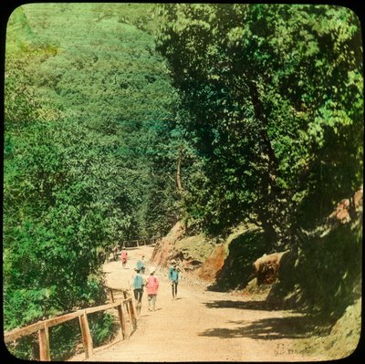 The Mall Road, Simla, Indie, konec 19. nebo začátek 20. století od Unbekannt