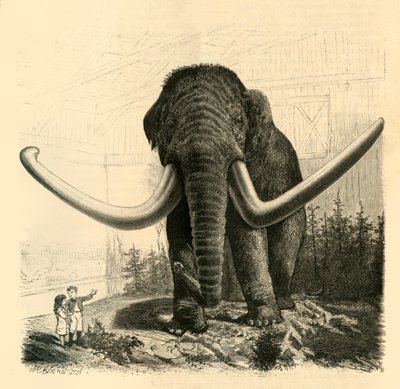 Mamut z Petrohradu, 1883. od Unbekannt