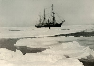 Nimrod si tlačí cestu přes další otevřený balíček, c1908, 1909 od Unbekannt