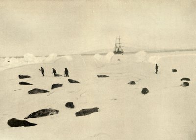 Nimrod v Pram Point 4. března 1909 od Unbekannt