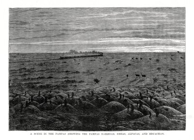 Železnice Pampas, jihoamerické nížiny, 1877 od Unbekannt