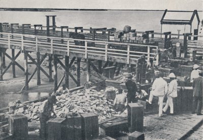 Pearl Fishing Industry - Packing Shell, 1923. od Unbekannt