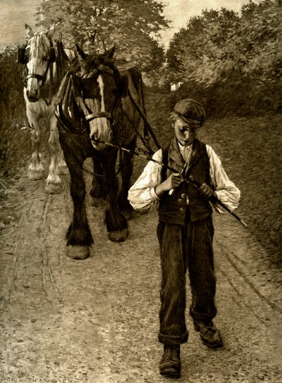The Plow Boy, 1900 od Unbekannt