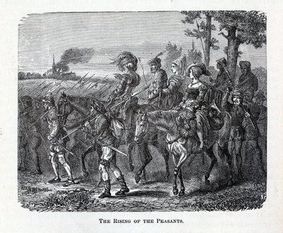 Povstání rolníků, 1882 od Unbekannt