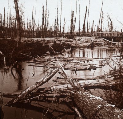 Řeka Ailette, severní Francie, c1914-c1918 od Unbekannt