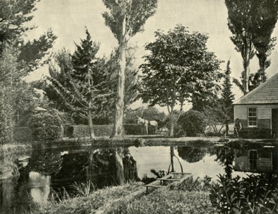 The Salmon Ponds, New Norfolk, 1901. od Unbekannt