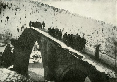 Generální štáb srbské armády na jejich ústupu přes Albánii, 1919. od Unbekannt