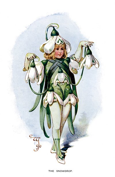 Sněženka, 1899 od Unbekannt