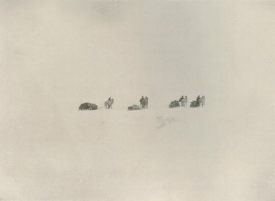 Jižní strana pochodující do bílé neznámo, 1908, 1909. od Unbekannt