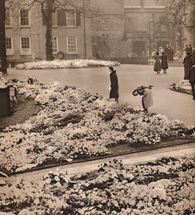 Státní pohřeb krále Jiřího V. ve Windsoru: pamětní věnce, 1936 od Unbekannt