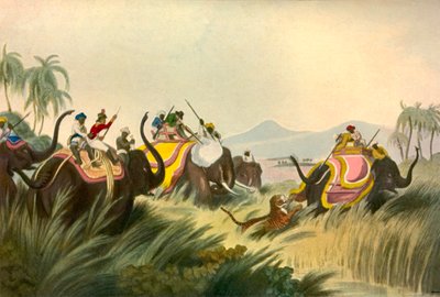 The Tiger Hunt, c1808, 1901. od Unbekannt