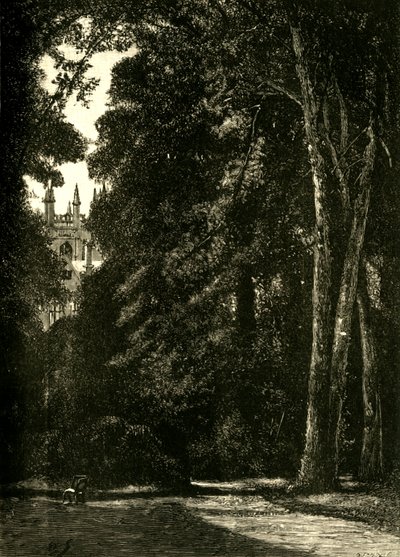Věž Merton, ze zahrady, 1898. od Unbekannt