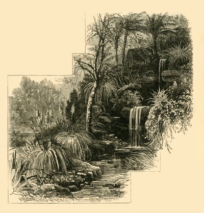 Tropické zahrady, Battersea Park, c1878. od Unbekannt