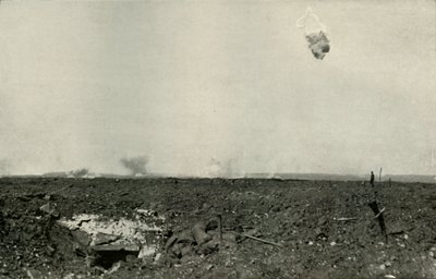 The Woolly Bear., 1919. od Unbekannt