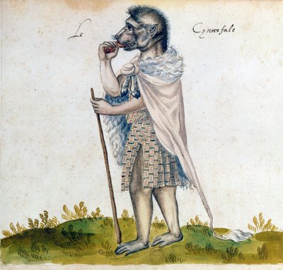 Cynocephalus, 15. století od Unbekannt