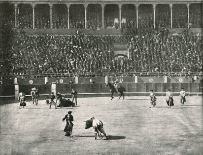 Interiér býčí arény, Madrid, Španělsko, 1895. od Unbekannt