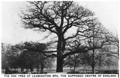 Dub v Leamington Spa, údajném centru Anglie, 1936 od Unbekannt