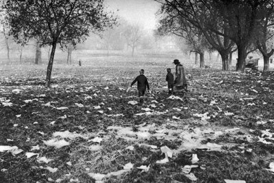 Odpadky zanechané na Hampstead Heath po státním svátku, Londýn, 1926-1927 od Unbekannt