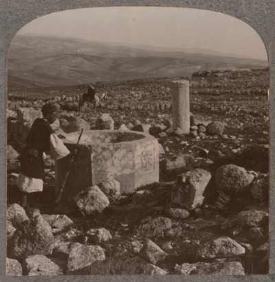 Ruiny Tekoa, c1900 od Unbekannt