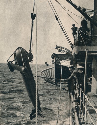 Paravana ve tvaru žraloka, 1943 od Unbekannt
