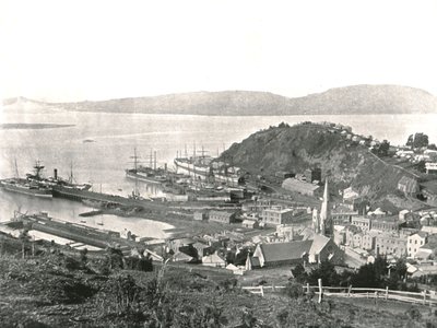 Město a přístav, Port Chalmers, Nový Zéland, 1895. od Unbekannt