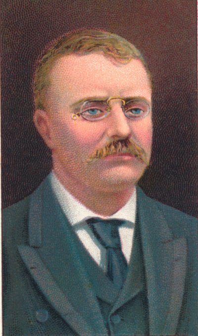 Theodore Roosevelt 1858-1919, 26. prezident Spojených států, 1906 od Unbekannt