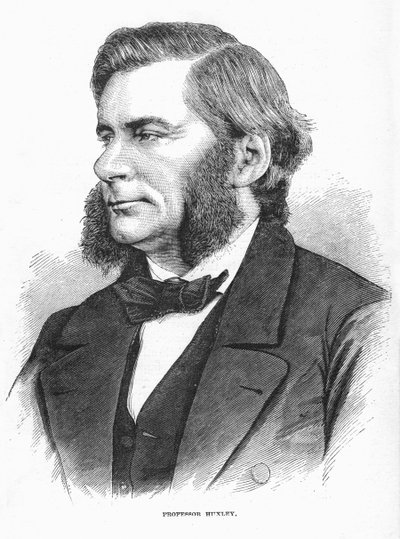 Thomas Henry Huxley, britský biolog, c1860 od Unbekannt