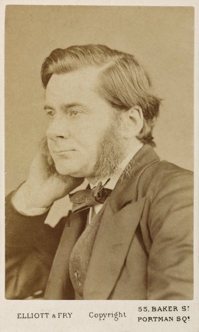 Thomas Henry Huxley, britský biolog, c1865-1886 od Unbekannt