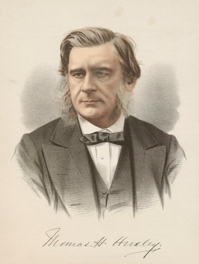 Thomas Henry Huxley, anglický biolog, c1880 od Unbekannt